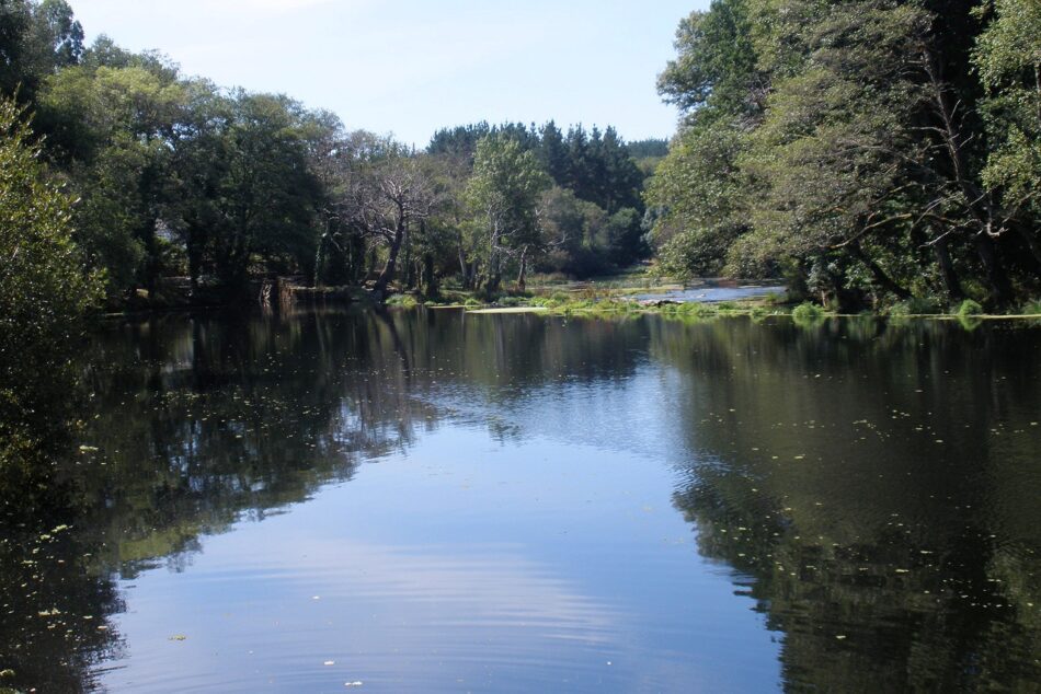 Ecoloxistas en Acción demanda á Confederación Hidrográfica Miño-Sil a anulación da concesión ao Club Fluvial de Lugo ao atoparse en Rede Natura 2000