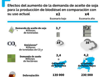 La demanda europea por el aceite de soja podría cuadriplicarse a costa de la deforestación de selvas y humedales