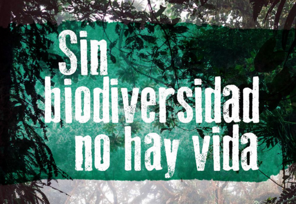 El Gobierno español infravalora la pérdida de biodiversidad