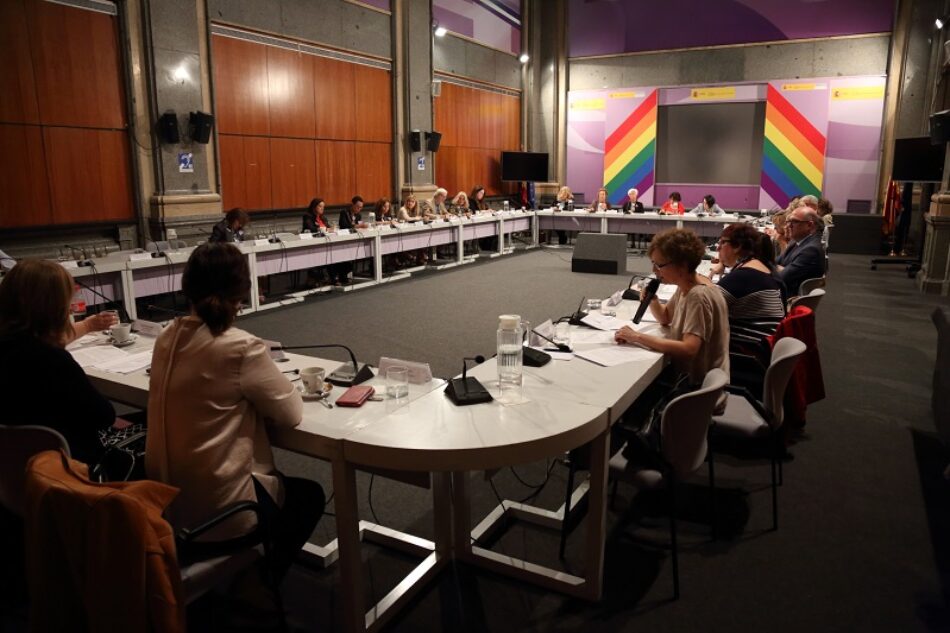 La Plataforma Sombra CEDAW, Estambul y Beijing pide al Gobierno un plan para aplicar las recomendaciones del Consejo de Europa conocidas hoy