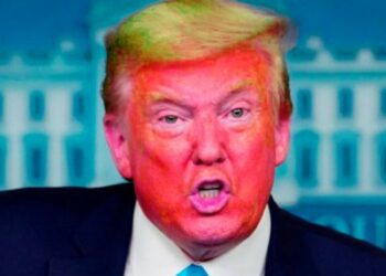 ¿De qué democracia están hablando?: El mundo ya está infectado por el virus del trumpismo