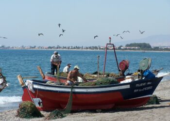 CCOO afirma que las cuotas pesqueras para 2021 no garantizan la sostenibilidad económica y social del sector