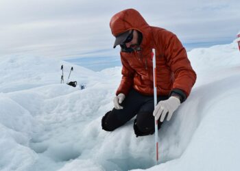 Marco Tedesco, profesor de la Universidad de Columbia e investigador de la NASA: “El Ártico tal y como lo conocemos va a desaparecer”