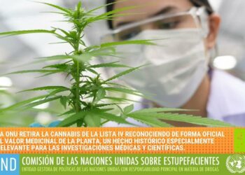 «¿Se abre la veda para la regulación del cannabis en España?»
