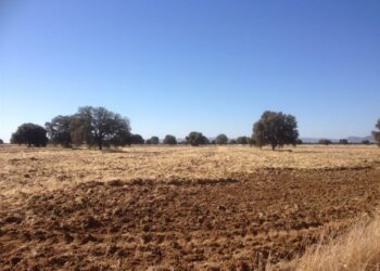 El Complejo Lagunar de La Albuera en peligro: seco a pesar de las lluvias de primavera y otoño.