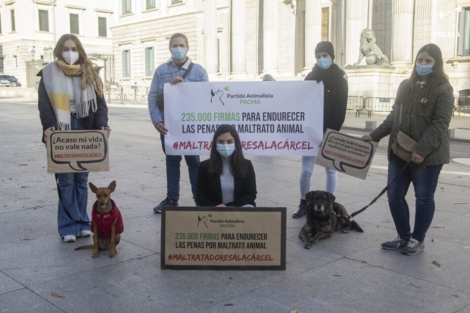 PACMA exige justicia para los animales maltratados y entrega 235.000 firmas en el Congreso de los Diputados para cambiar el Código Penal