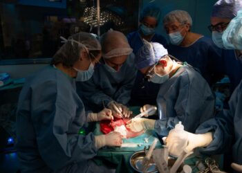Realizado el primer trasplante de útero en España