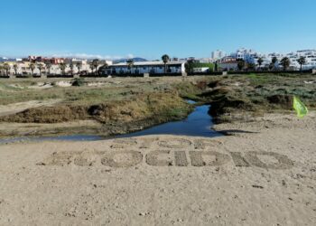 EQUO VERDES Tarifa manifiesta como Ecocidio los vertidos en la playa Los Lances-Tarifa