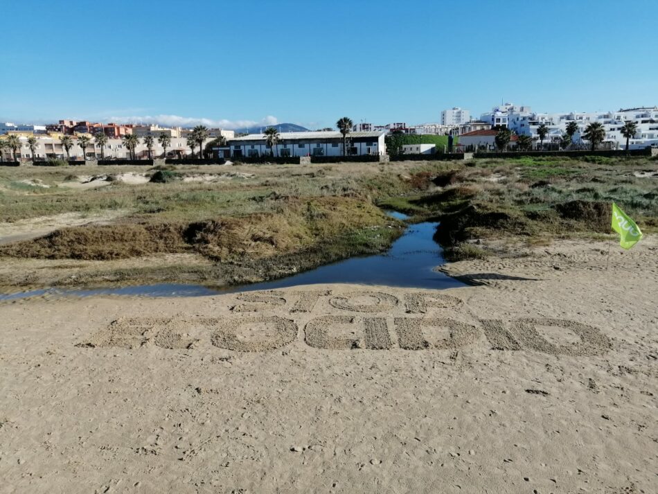EQUO VERDES Tarifa manifiesta como Ecocidio los vertidos en la playa Los Lances-Tarifa