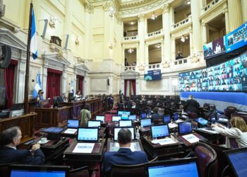 El Senado argentino aprueba un incremento fiscal a las grandes fortunas