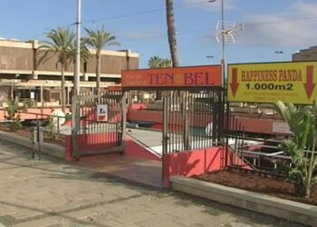 La Plataforma Trans condena el asesinato de una mujer trans en Arona (Tenerife)