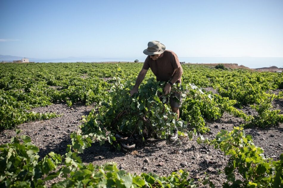 Aprobado el Reglamento Transitorio que garantiza la continuidad del pago de las ayudas de la PAC en 2021 y 2022