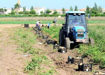 Enrique Santiago dirige al Gobierno propuestas sobre el campo para “hacer frente a la crisis de precios, los altos costes de producción y las trabas para acceder a las ayudas europeas”