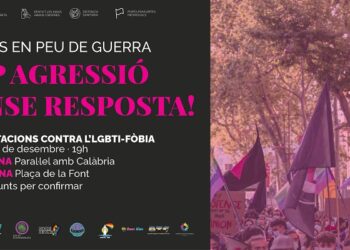 Manifestació contra l’LGBTI-FÒBIA: 5-D