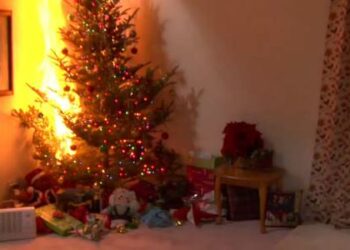 Árboles incendiados, ‘christmas’ venenosos y ántrax de regalo: los accidentes navideños más locos
