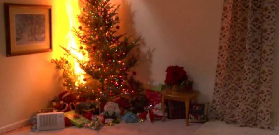 Árboles incendiados, ‘christmas’ venenosos y ántrax de regalo: los accidentes navideños más locos