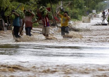 Alianza por la Solidaridad reclama financiación a los países en desarrollo para afrontar el cambio climático