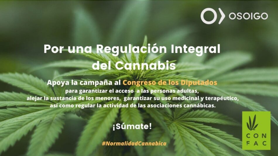 La campaña de #NormalidadCannábica pide al Congreso de los Diputados la regulación del cannabis