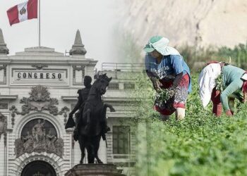 Congreso en Perú debate dictamen sobre nueva Ley Agraria