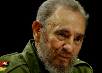 Fidel, un árbol que aún florece