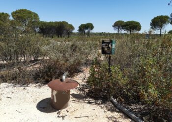 El Gobierno entrega a la comunidad de regantes el Fresno Guadalquivir la concesión de riego que permitirá el cierre de 170 pozos en el entorno de Doñana