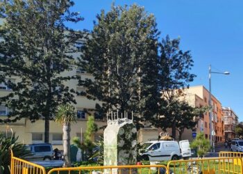 El Ayuntamiento de Cádiz comienza 2021 retirando el busto de Juan Carlos I de la renombrada «Avenida de la Sanidad Pública»