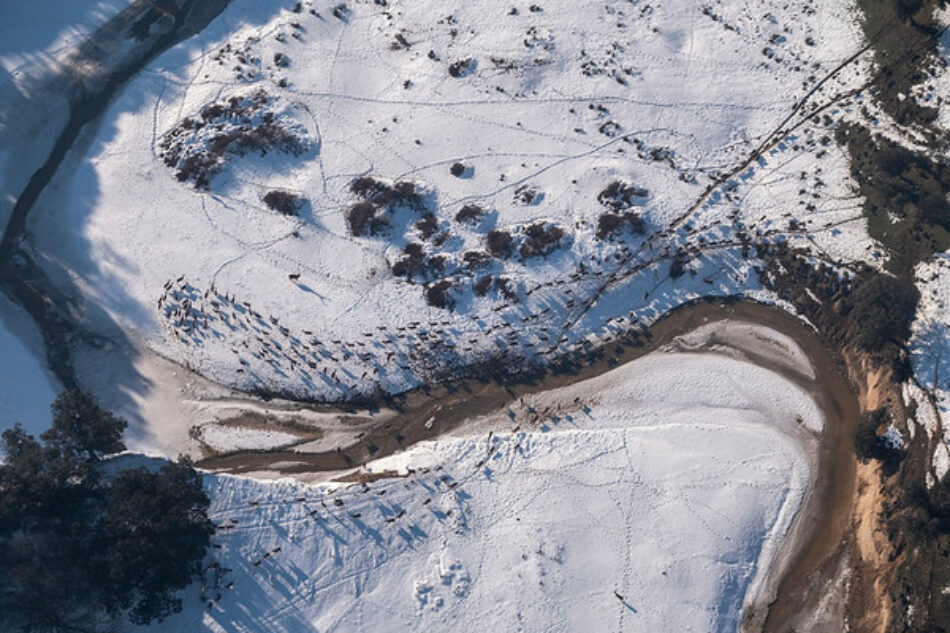 Greenpeace documenta la España rural desde el aire: imágenes aéreas de cómo Filomena ha afectado al campo