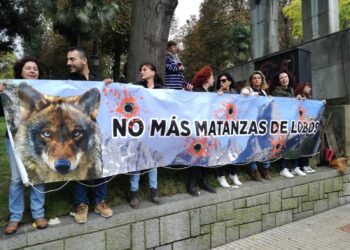 El Principado apuesta por seguir matando mas lobos