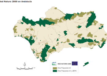 Podemos Andalucía celebra la sentencia del TC que declara la Red Natura 2000 no urbanizable y exige revertir las reclasificaciones de suelo ilegales