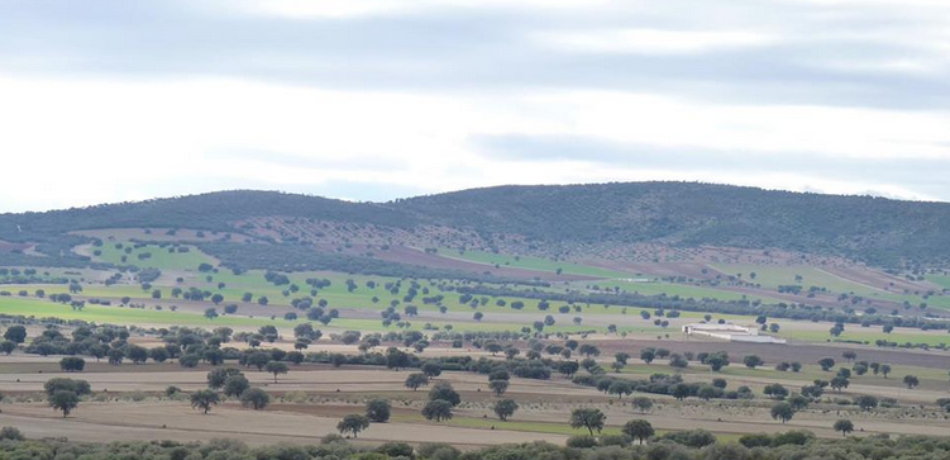 El Tribunal Superior de Justicia de Castilla-La Mancha tumba los proyectos de minería de tierras raras en Ciudad Real