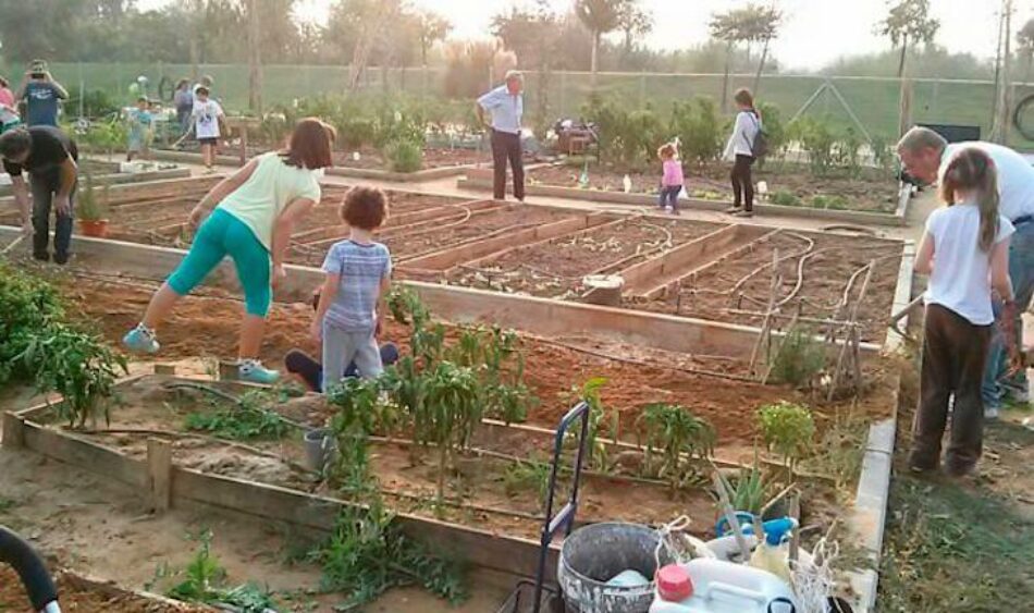 Ecologistas en Acción denuncia el desalojo de los huertos sociales de Torreblanca (Sevilla)