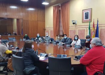 Organizaciones políticas y agentes sociales celebran una reunión para tratar los problemas relacionados con el ferrocarril en Sevilla