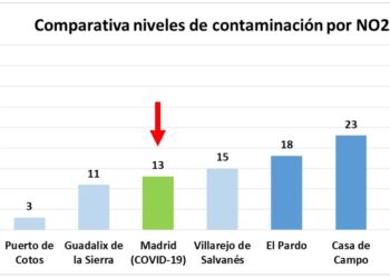 Ecologistas en Acción: «Madrid disfrutó de un aire serrano durante 2020»