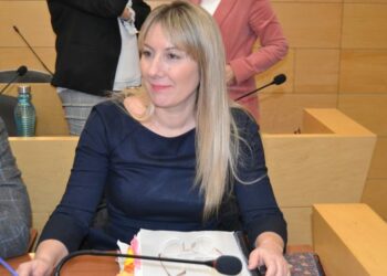 PP y Vox se oponen a la moción de Unidas por Las Rozas para acondicionar un Piso de Emergencia municipal para mujeres víctimas de violencia de género