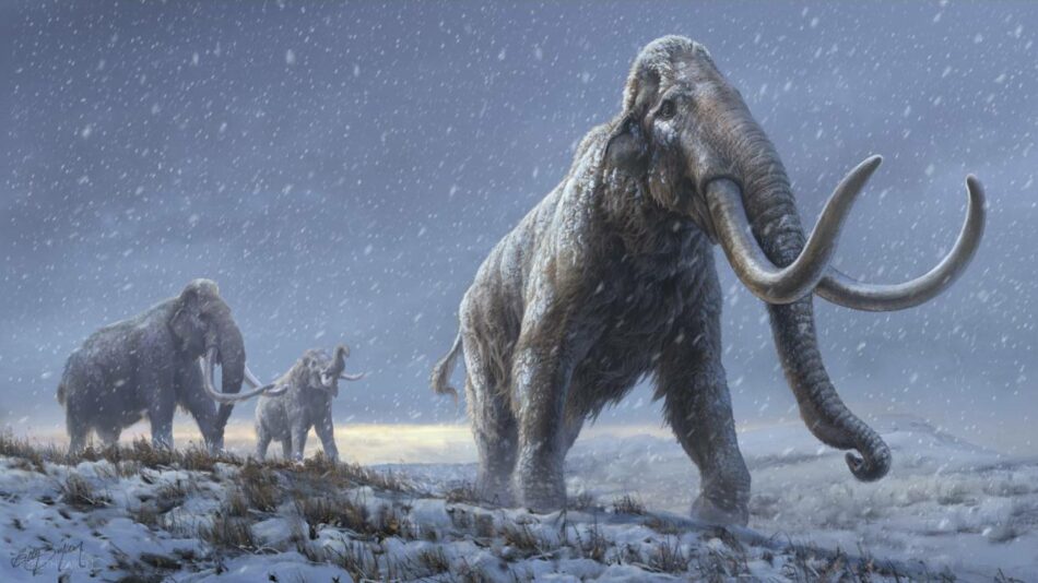 EL ADN más antiguo jamás secuenciado revela un nuevo linaje de mamuts