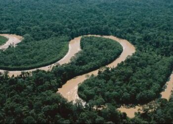 Organizaciones indígenas demandan al Estado por proyecto Hidrovía Amazónica