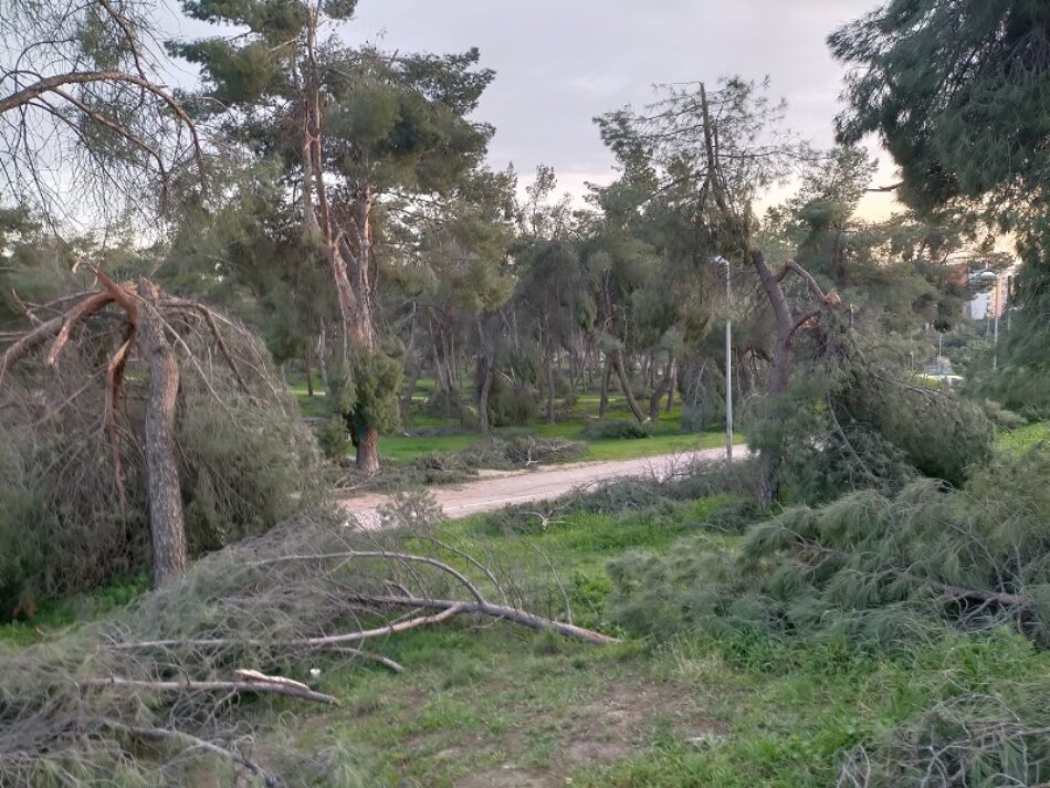 Salvemos el Pinar de la Elipa (en busca de los jardineros desaparecidos)