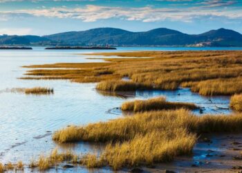 Los humedales Ramsar españoles siguen amenazados por la mala gestión del agua