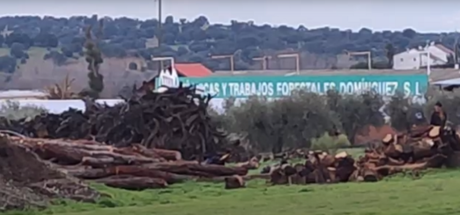 Denuncian inacción del Ayuntamiento de Villamanta contra una empresa forestal sin licencia municipal