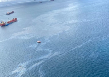 Aguilera solicita al Senado y a la Junta de Andalucía información sobre el vertido de combustible en la Bahía de Algeciras