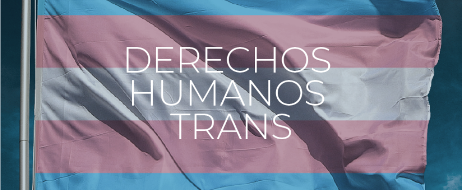 FELGTB solicita a relatores de Naciones Unidas que insten al Gobierno de España a garantizar los derechos trans