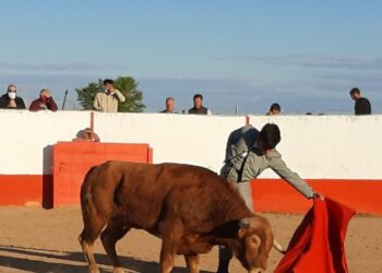 Cancelada en la finca «El Duende» en Mocejón (Toledo) una capea y lidia de becerros organizada por medio de falsificación de salvoconductos