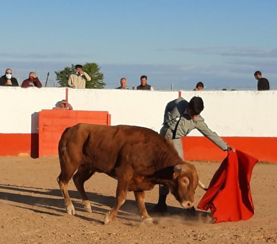 Cancelada en la finca «El Duende» en Mocejón (Toledo) una capea y lidia de becerros organizada por medio de falsificación de salvoconductos