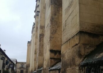 Córdoba Laica, sobre las inmatriculaciones e impuestos a la Iglesia: «el Gobierno se lava las manos ante tamaño escándalo monumental”