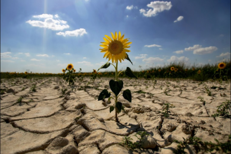 Los efectos del cambio climático pueden ser más devastadores que la pandemia