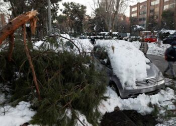 Equo y Más Madrid piden a Ayuso un plan de choque para recuperar el arbolado en la región