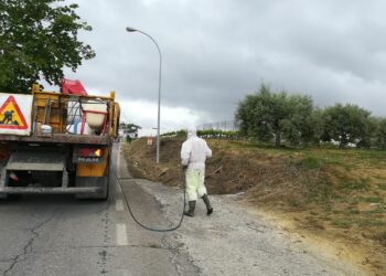 Ecologistas en Acción denuncia el uso continuado de glifosato en parque naturales de Cádiz a pesar de su prohibición