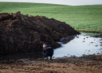 Grave daño ambiental provocado por “cascadas” de purines que una macrogranja de Navarra vierte en la naturaleza