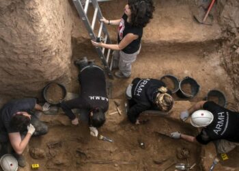 Vídeo sobre la exhumación de la fosa común [nº3] en el cementerio de Guadalajara en octubre de 2020