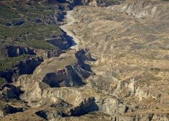 Plataforma Acuíferos Vivos: «Juntos defendemos el agua porque la vida en la tierra depende de ella»